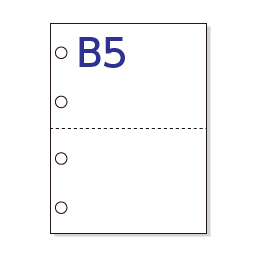 カラー対応　FSC　マイクロミシン帳票用紙　B5　白紙　2面　4穴
